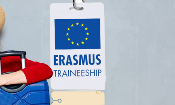 ONLINE BANDO ERASMUS TRAINEESHIP