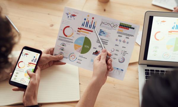 Bachelor's Degrees in Sustainable Business for Societal Challenges.